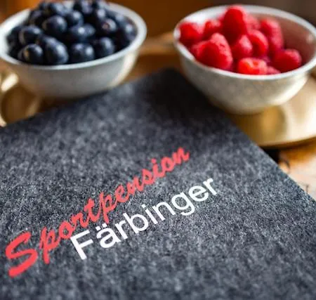 Sportpension Faerbinger ゲストハウス
